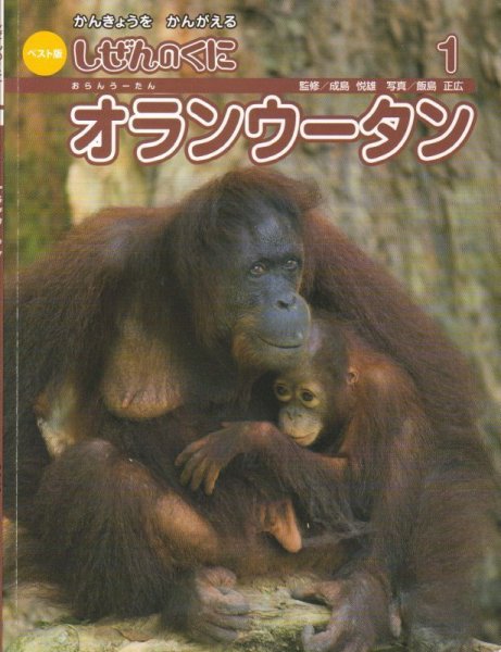 画像1: しぜんのくに　オランウータン（ベスト版）2016年版【状態C】 (1)