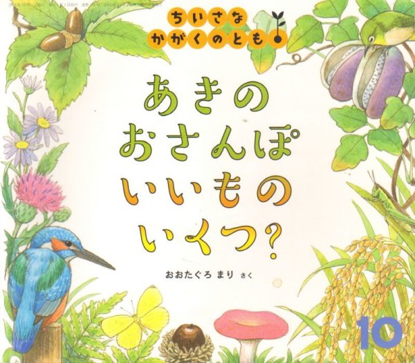 画像1: あきのおさんぽいいものいくつ？（ちいさなかがくのとも199号）【状態B】 (1)