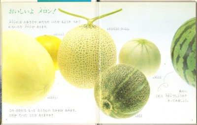 画像1: メロン（しぜん-キンダーブック1990年7月発行）【状態B】希少本