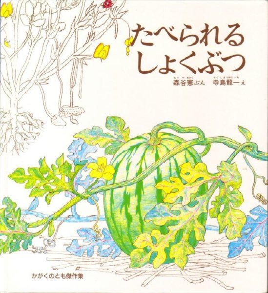 画像1: たべられるしょくぶつ【バーゲンブック】 (1)