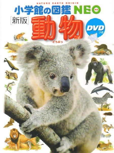 画像1: 新版 小学館の図鑑NEO 動物【状態B】 (1)