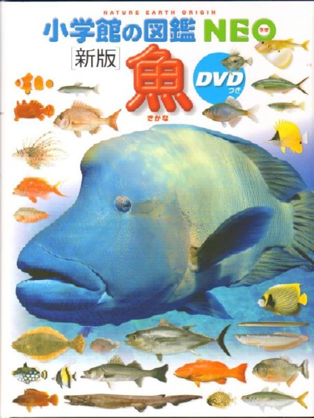 画像1: 新版 小学館の図鑑NEO 魚 DVDつき【状態B】/ (1)