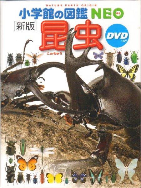 画像1: 新版 小学館の図鑑NEO 昆虫 DVDつき【状態A】/ (1)