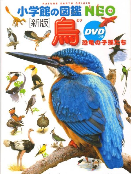 画像1: 新版 小学館の図鑑NEO 鳥　恐竜の子孫たち　DVDつき【状態B】/ (1)