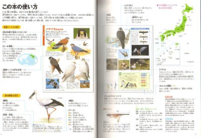 画像2: 新版 小学館の図鑑NEO 鳥 恐竜の子孫たち DVDつき【状態B】/
