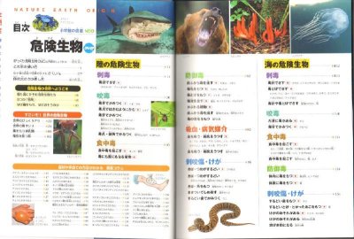 画像1: 小学館の図鑑NEO 危険生物 DVDつき【状態C】/