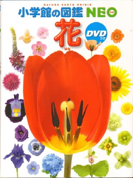 画像1: 小学館の図鑑NEO 花 DVDつき【状態C】 (1)