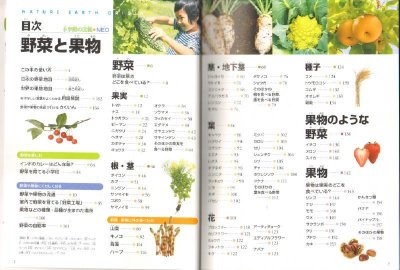 画像1: 小学館の図鑑NEO 野菜と果物 【状態A】/