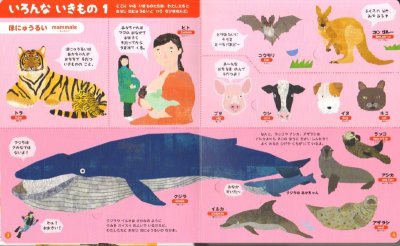 画像2: 小学館の図鑑NEOまどあけずかん いきもの 英語つき 【状態C】