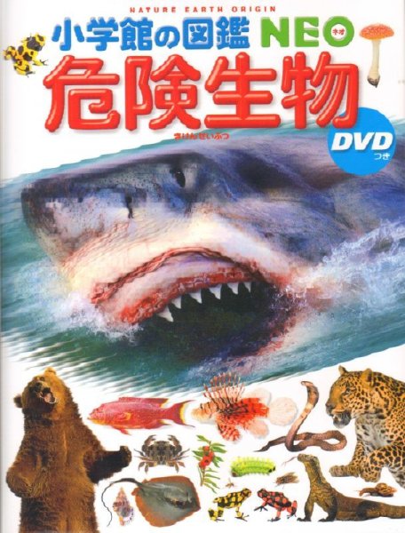 画像1: 小学館の図鑑NEO 危険生物　DVDつき【状態C】/ (1)