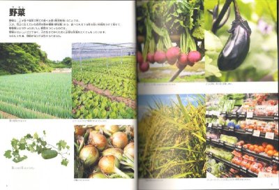 画像2: 小学館の図鑑NEO 野菜と果物 【状態A】/