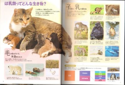 画像2: 新版 小学館の図鑑NEO 動物【状態B】