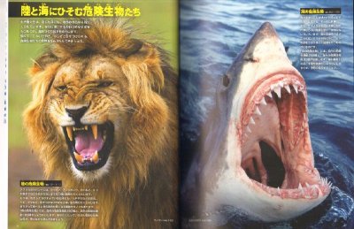 画像2: 小学館の図鑑NEO 危険生物 DVDつき【状態C】/