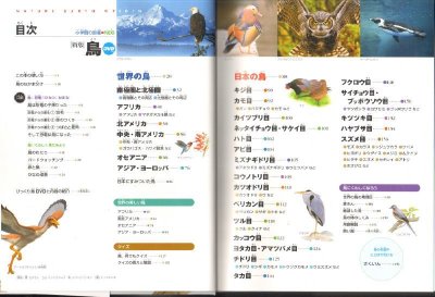 画像1: 新版 小学館の図鑑NEO 鳥 恐竜の子孫たち DVDつき【状態B】/