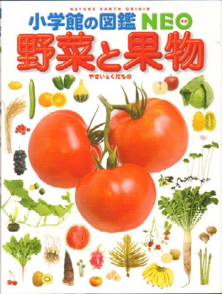 画像1: 小学館の図鑑NEO 野菜と果物 【状態A】/ (1)