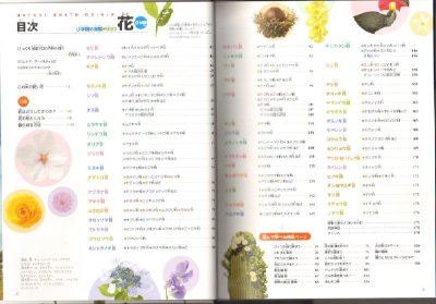 画像1: 小学館の図鑑NEO 花 DVDつき【状態C】