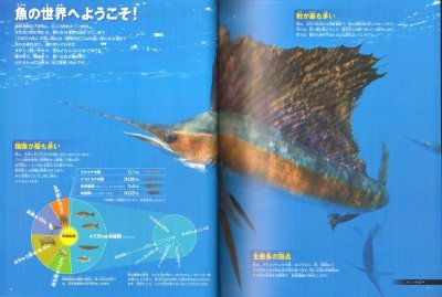 画像2: 新版 小学館の図鑑NEO 魚 DVDつき【状態B】/