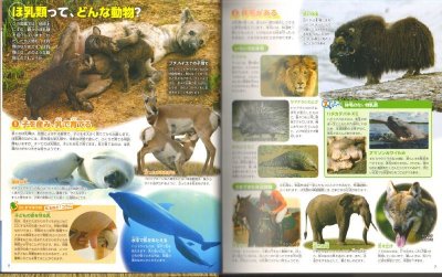 画像2: 講談社の動く図鑑 MOVE 動物 新訂版 DVDつき【状態A】