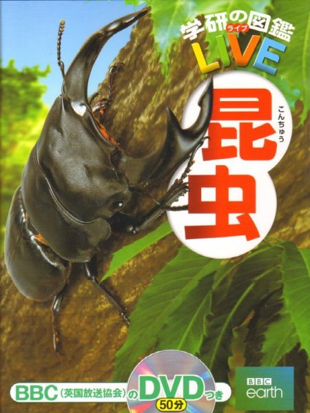 画像1: 学研の図鑑LIVE 第1巻 昆虫  DVDつき【状態B】/ (1)