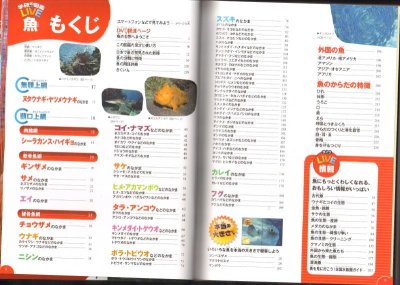 画像1: 学研の図鑑 第7巻 LIVE 魚 DVDつき【バーゲンブック　DVD欠品】