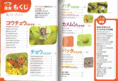 画像1: 学研の図鑑LIVE 第1巻 昆虫 DVDつき【状態B】/