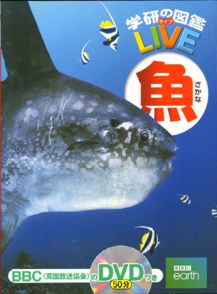 画像1: 学研の図鑑 第7巻 LIVE 魚 DVDつき【バーゲンブック　DVD欠品】 (1)