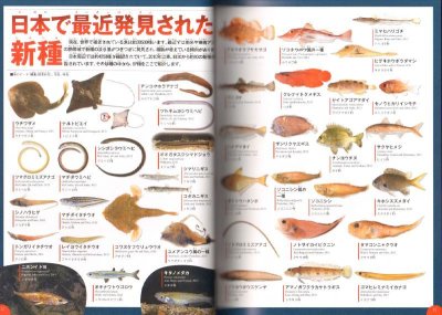 画像2: 学研の図鑑 第7巻 LIVE 魚 DVDつき【バーゲンブック　DVD欠品】