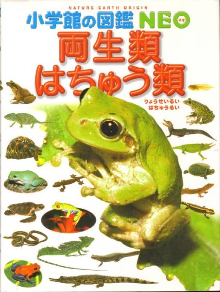画像1: 両生類・はちゅう類（小学館の図鑑NEO） 【状態B】/ (1)