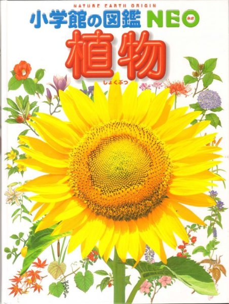 画像1: 植物　小学館の図鑑NEO 【バーゲンブック】 (1)