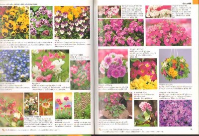 画像1: 植物(ニューワイド学研の図鑑)【状態A】/