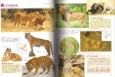 画像1: 動物　ニューワイド学研の図鑑 増補改訂版【状態C】/