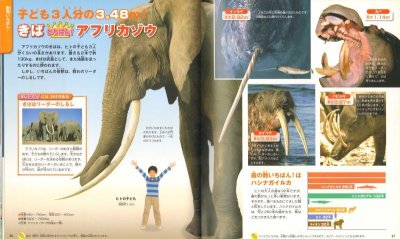 画像1: いちばん！の図鑑（ニューワイドi学研の図鑑）【状態B】