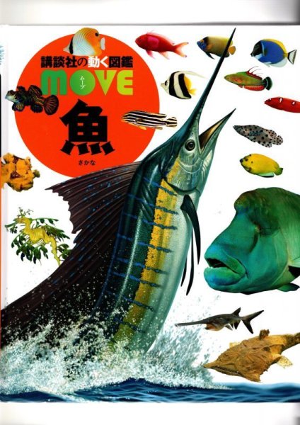 画像1: 講談社の動く図鑑 MOVE 魚【バーゲンブック】/ (1)