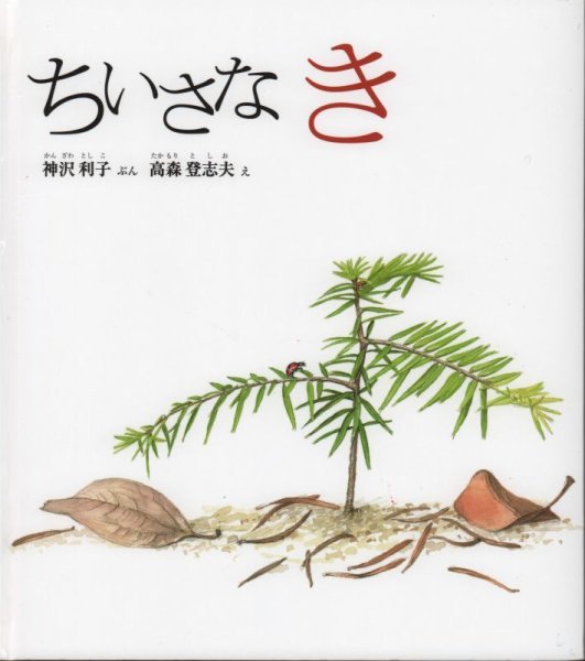 画像1: ちいさな き【状態C】/ (1)