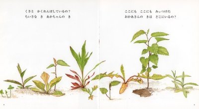 画像1: ちいさな き【状態C】/