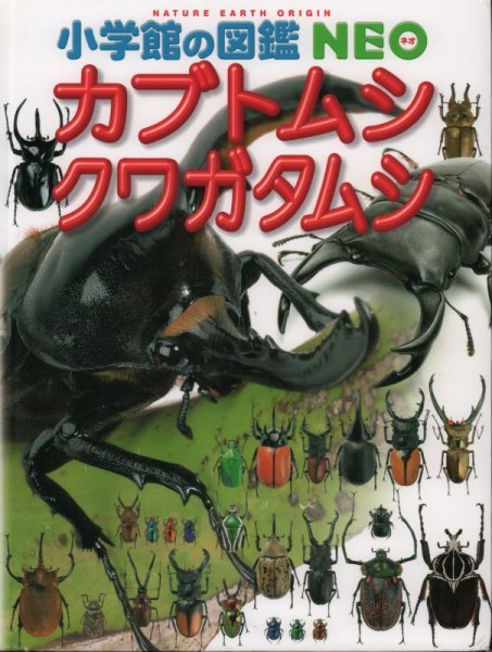 画像1: 小学館の図鑑NEO カブトムシ・クワガタムシ【状態B】 (1)