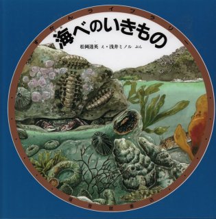 希少本　ずかんライブラリー　ちょう ちょう ずかんライブラリー特製版 | 大島進一 |本 | 通販 | Amazon