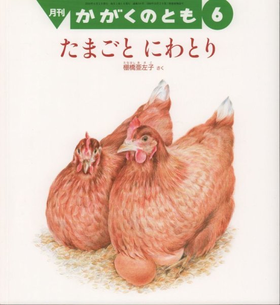画像1: たまごと　にわとり（かがくのとも591号）【状態C】 (1)