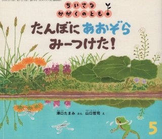 B65-011 はるのたんぼ ざっそうのくらし かがくのとも169号 1983