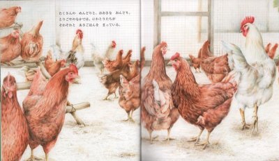 画像1: たまごと　にわとり（かがくのとも591号）【状態C】