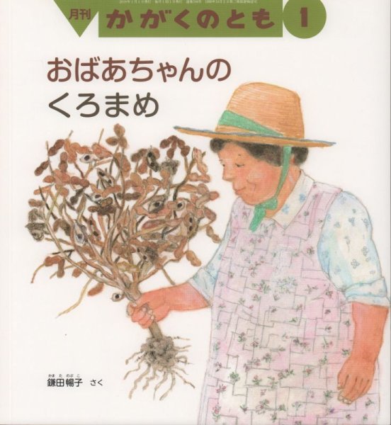 画像1: おばあちゃんの　くろまめ（かがくのとも598号）【状態A】 (1)