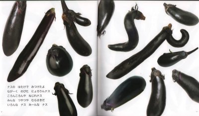 画像1: やさいのかたち（かがくのとも592号）【バーゲンブック】
