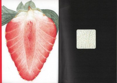 画像1: まどのむこうのくだものなあに?(こどものとも年中向き400号)【バーゲンブック】*