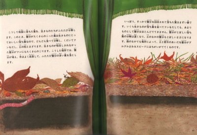 画像1: 森の舞台うら（たくさんのふしぎ397号）【状態C】