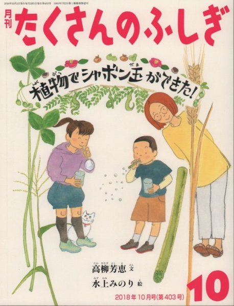 画像1: 植物でシャボン玉ができた！（たくさんのふしぎ403号）【状態C】 (1)
