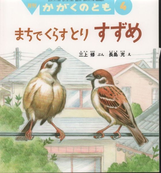 画像1: まちでくらすとり　すずめ（かがくのとも589号）【バーゲンブック】 (1)