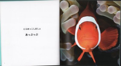 画像1: あっぷっぷ（こどものとも年少版506号）【状態A】