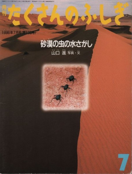 画像1: 砂漠の虫の水さがし（たくさんのふしぎ136号）【状態A】 (1)