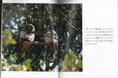 画像1: 10才のころ、ぼくは考えた。（たくさんのふしぎ399号）【状態B】