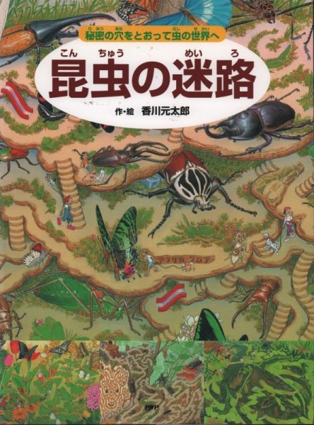 画像1: 昆虫の迷路 秘密の穴をとおって虫の世界へ【状態C】2 (1)